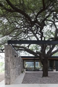 a large tree in front of a stone building with glass doors on the outside and inside