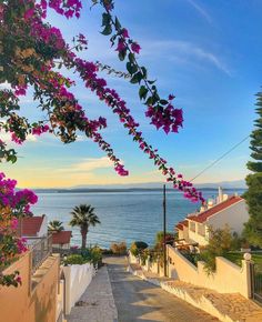 an alley leading to the beach with purple flowers on it and water in the background