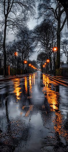 the street is wet and it's raining with some lights on in the distance