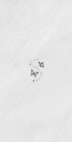 two butterflies are flying in the snow