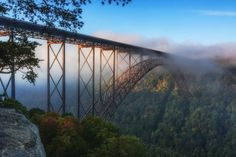 a large bridge spanning over a lush green forest