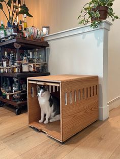 a black and white cat sitting in a wooden crate on the floor next to shelves