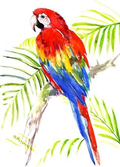 a colorful parrot sitting on top of a tree branch next to green leafy branches