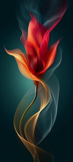 Tato Phoenix, Iphone Wallpaper Photography, Iphone Dynamic Wallpaper, Android Wallpaper Art, Nature Iphone Wallpaper, Iphone Wallpaper Stills, Beautiful Nature Wallpaper Hd, Iphone Wallpaper Hd Nature, Floral Wallpaper Phone