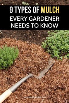 the 9 types of mulch every gardener needs to know