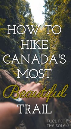 the words how to hike canada's most beautiful trail in front of a forest