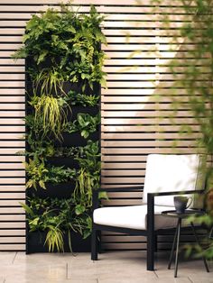 a chair sitting in front of a wall with plants growing up it's sides