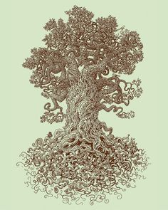 a drawing of a tree with lots of branches and leaves on the bottom half of it