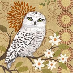 an owl sitting on top of a tree branch with white flowers and leaves around it