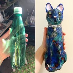 two pictures one has a cat and the other is a bottle