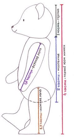 a drawing of a bear with measurements for it's body and back side, as well as the height of its legs