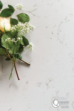 some flowers are laying on a white surface