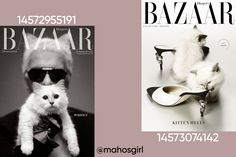 two magazine covers with cats and shoes on them