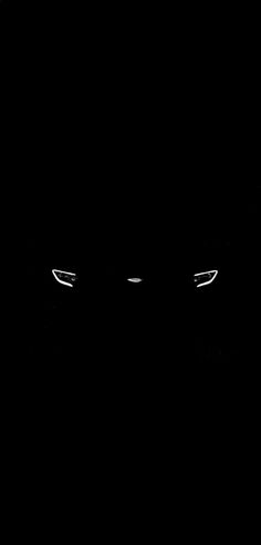 a black cat with glowing eyes in the dark