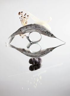 two fish with eye glasses on top of each other in front of a white background