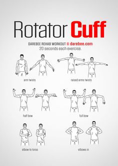 a poster with instructions on how to do rotator cuffs and chest arms for men