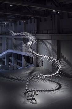 the skeleton of a large animal is displayed in an empty room with stairs and lights