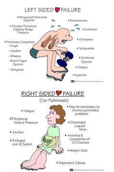 the different types of human body parts and how they are used to describe them in this cartoon