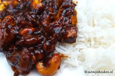 a close up of rice and meat on a plate