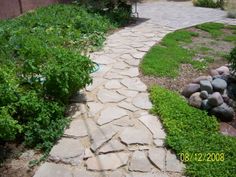 a stone path in the middle of a garden