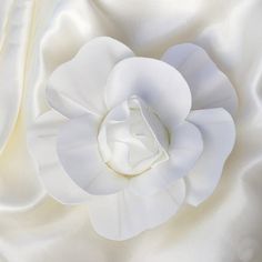 6 Pack | 8inch White Real Touch Artificial Foam DIY Craft Roses Foam Diy, Large Roses, Butterfly Wall Decals, Foam Roses, Foam Flowers, Wall Backdrops, Tie Pin, Backdrop Decorations, Flower Backdrop