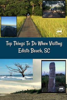 the top things to do when visiting ellsito beach, sc cover image with text overlay