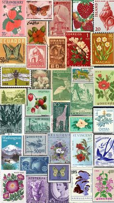 many different postage stamps with flowers and animals on them, all printed in different colors