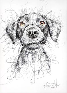 a black and white drawing of a dog's face