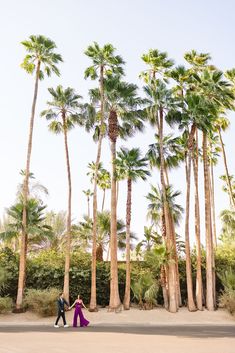 two people walking in front of palm trees