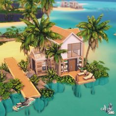 an aerial view of a tropical island with a house on the water and palm trees