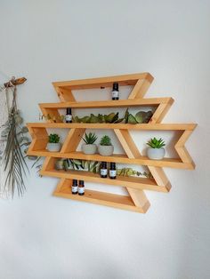 three wooden shelves with plants and bottles on them hanging from the wall next to a potted plant