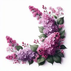 purple flowers and green leaves are arranged on a white background