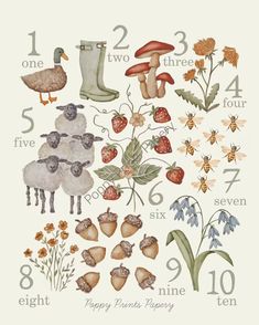 a poster with numbers, flowers and animals on it's back side that says poppy printspapey