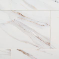 white marble tiles with gold veining on the edges