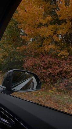 a car's side view mirror with trees in the background and leaves on the ground