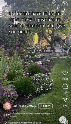 a garden with purple flowers and green grass