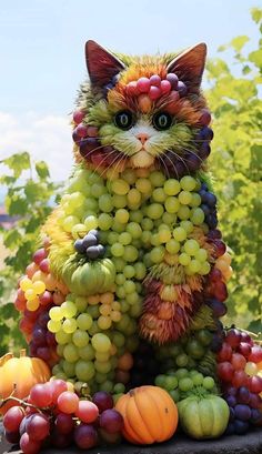 a cat made out of grapes and other fruits