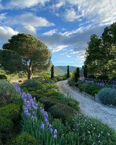 a dirt road surrounded by blue flowers and trees