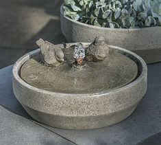 two birds are drinking water from a fountain