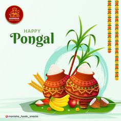 happy pongal greeting card with two pots and bananas