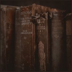 old books are lined up on a shelf