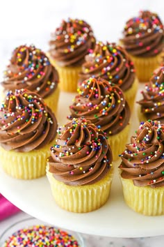 cupcakes with chocolate frosting and sprinkles on a white plate