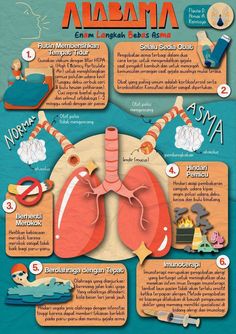 the anatomy of the human body and its functions in different ways, including lungs, stomachs