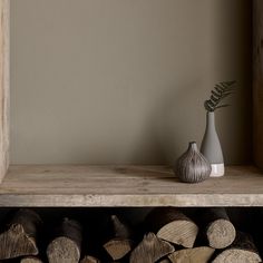 a vase with a plant sits on top of a shelf next to stacked firewood