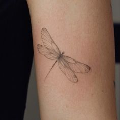 a small dragonfly tattoo on the arm