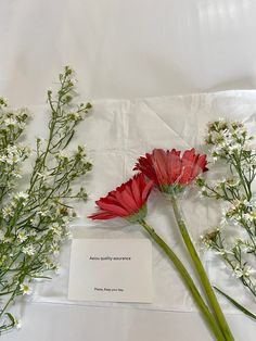 three red flowers are sitting next to each other on a sheet of paper with a note