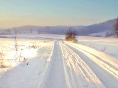 a snow covered road in the middle of a field with trees and grass on both sides