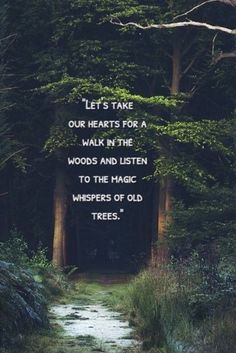 a path leading into a forest with trees on both sides and a quote from the book, let's take our hearts for a walk in the woods and listen to the magic whispers of old