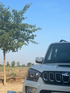 a jeep is parked in the dirt near a tree and water bottle on the side of the road