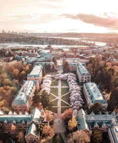 an aerial view of the campus and surrounding buildings